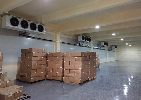  建造設(shè)計(jì)200立方疫苗低溫冷藏庫(kù)?費(fèi)用造價(jià)是多少？