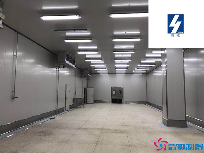福建鷺燕藥業(yè)2100立方醫(yī)藥物流低溫冷藏庫(kù)新工程案例