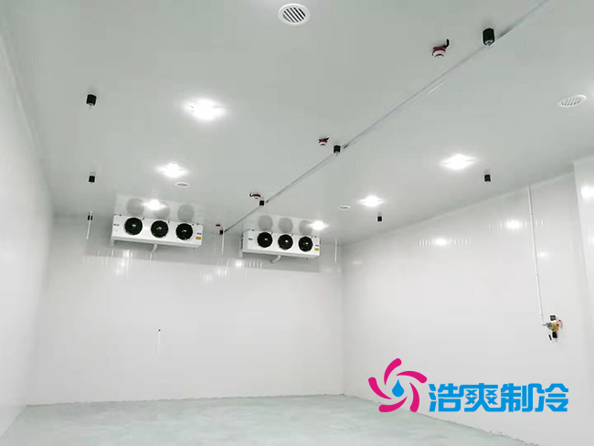  PCR實驗室醫(yī)藥冷庫建造設(shè)計標(biāo)準(zhǔn)