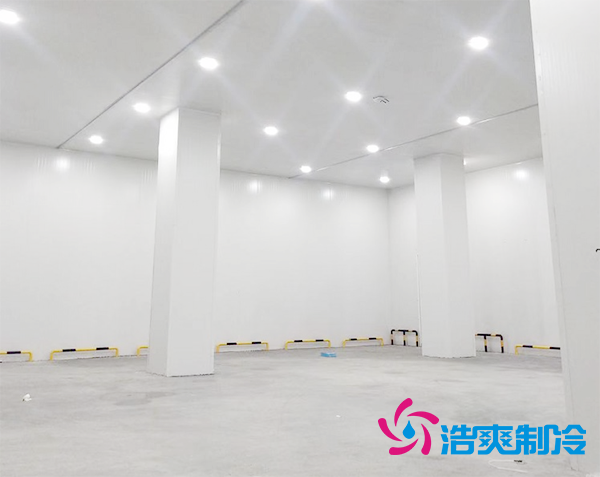  智能自動(dòng)化體外診斷試劑冷庫(kù)倉(cāng)儲(chǔ)定制專(zhuān)業(yè)廠家