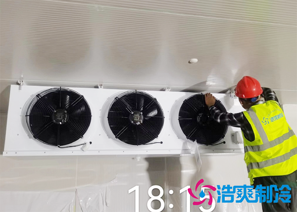 建一個小型診斷試劑冷庫多少錢？