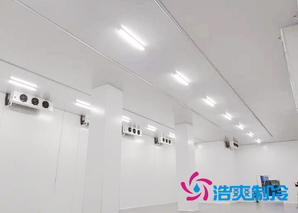 成都疫苗潔凈車(chē)間設(shè)計(jì)