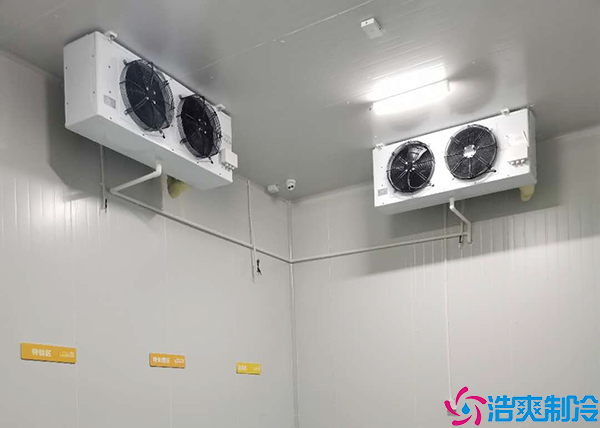  重慶醫(yī)療冷庫建造項目有哪些內(nèi)容？
