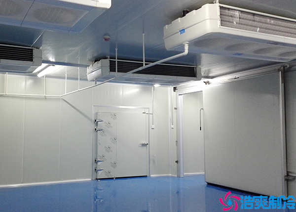  600方衡陽GSP醫(yī)藥冷庫建造價(jià)格多少錢？