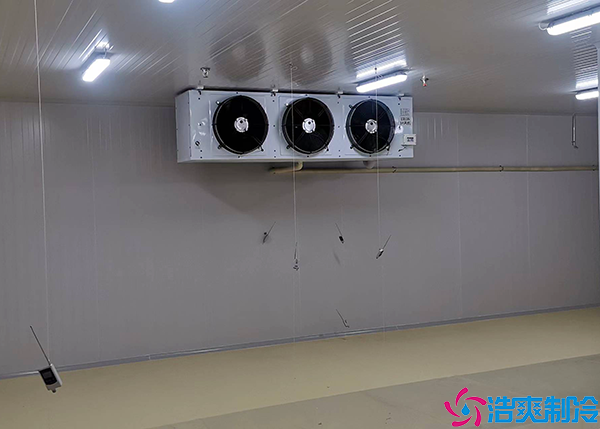  江西小型醫(yī)療冷庫造價多少錢一平方？