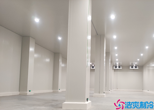  成都醫(yī)藥冷庫(kù)安裝施工團(tuán)隊(duì)