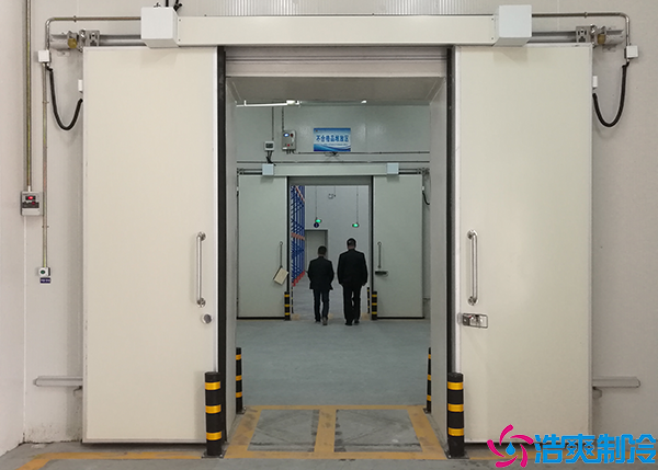  衡陽藥品冷庫定制：完善的安全防護措施，保護藥品質(zhì)量