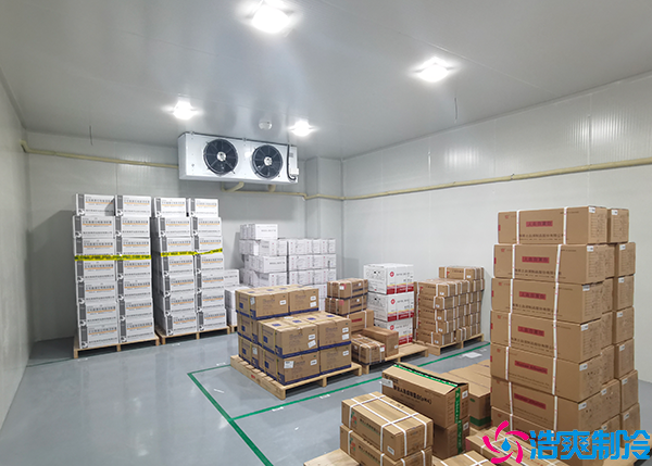 棗莊中型藥品冷藏庫平均造價多少錢？