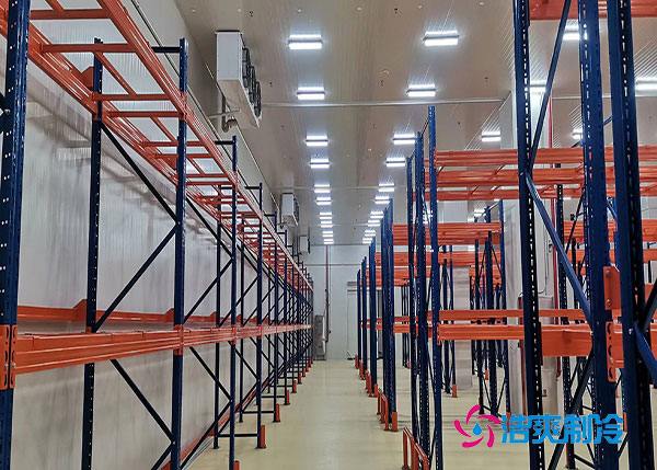  湘潭藥品冷庫設(shè)計建造方案