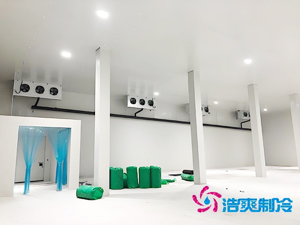 醫(yī)藥冷凍庫的安裝特性有哪些？
