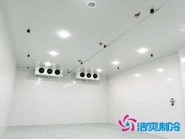 醫(yī)藥冷庫全方位設(shè)計(jì)安裝解析