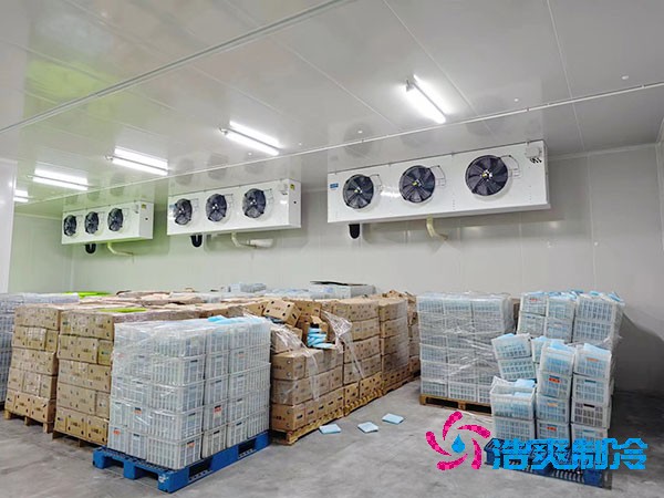 智能醫(yī)藥冷庫(kù)安裝方案與造價(jià)概覽