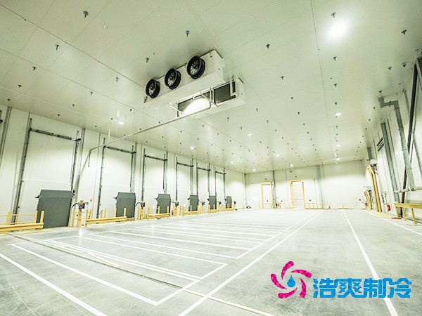  2025年全國醫(yī)藥冷庫造價解析與投資指南！