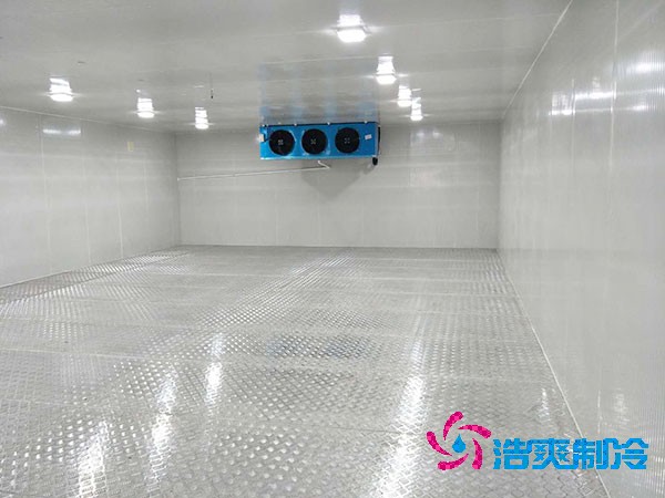 定制2-8℃醫(yī)藥冷庫造價(jià)及注意事項(xiàng)解析