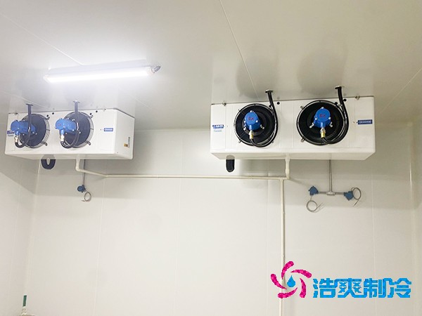 上海建設(shè)醫(yī)藥冷庫(kù)造價(jià)費(fèi)用大概多少錢？