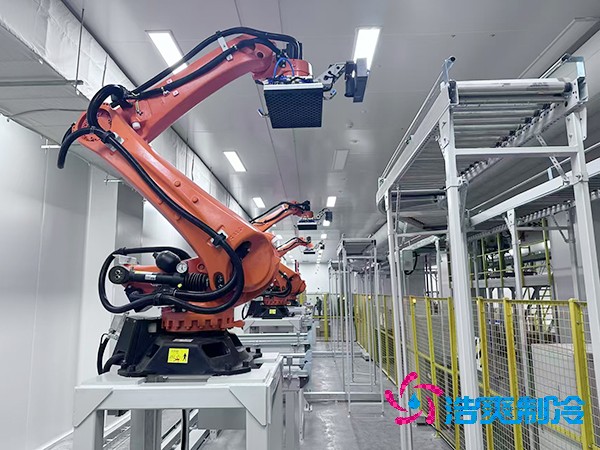自動化醫(yī)藥冷庫安裝_GSP/GMP自動化冷庫建造_FDA藥品自動化冷庫廠家