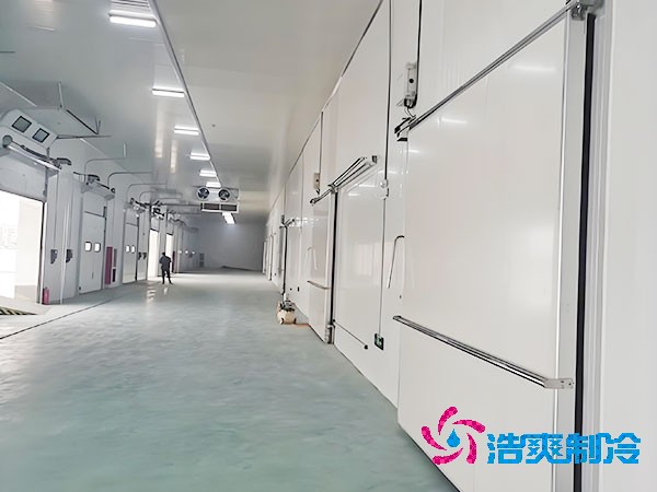  800立方醫(yī)藥冷庫造價(jià)大概多少錢？