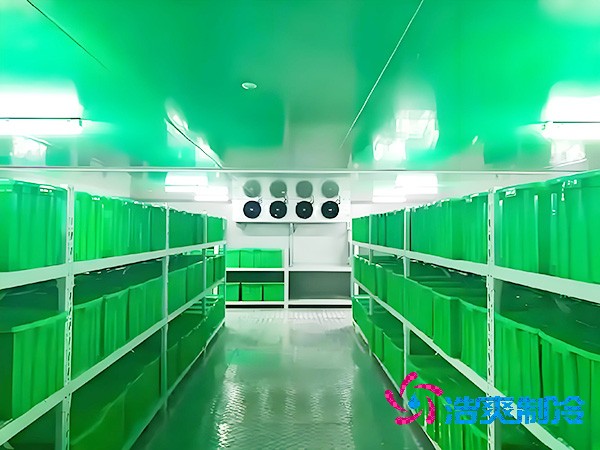 工業(yè)藥品冷庫(kù)建設(shè)安裝價(jià)格多少錢？工業(yè)藥品冷庫(kù)造價(jià)構(gòu)成