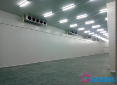  300立方社區(qū)衛(wèi)生中心冷藏庫建造費用造價是多少？