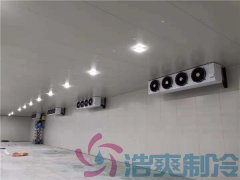  建設(shè)一間醫(yī)藥疫苗冷庫(kù)價(jià)格費(fèi)用？